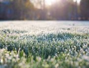 Winter care tips for your lawn