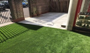 Landscape Garden Consultation