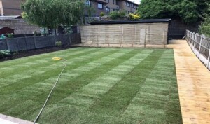 Artificial and Real Lawn Services