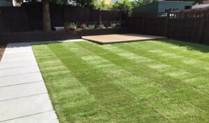 Consultation Services