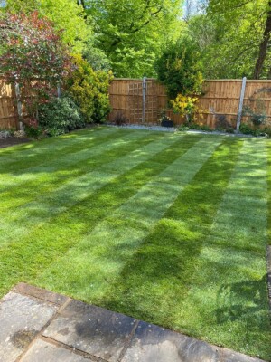 East London Landscapes